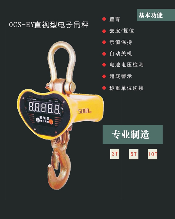 开云手机站官网,长沙电动葫芦,长沙钢丝绳,电子吊秤哪里的好