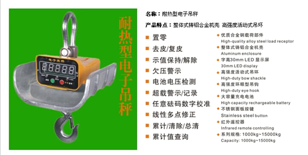开云手机站官网,长沙电动葫芦,长沙钢丝绳,电子吊秤哪里的好