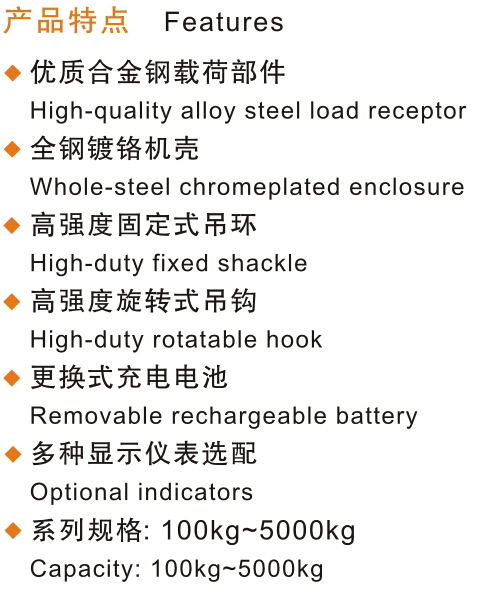 开云手机站官网,长沙电动葫芦,长沙钢丝绳,电子吊秤哪里的好