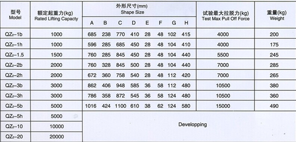 开云手机站官网,长沙电动葫芦,长沙钢丝绳,电子吊秤哪里的好